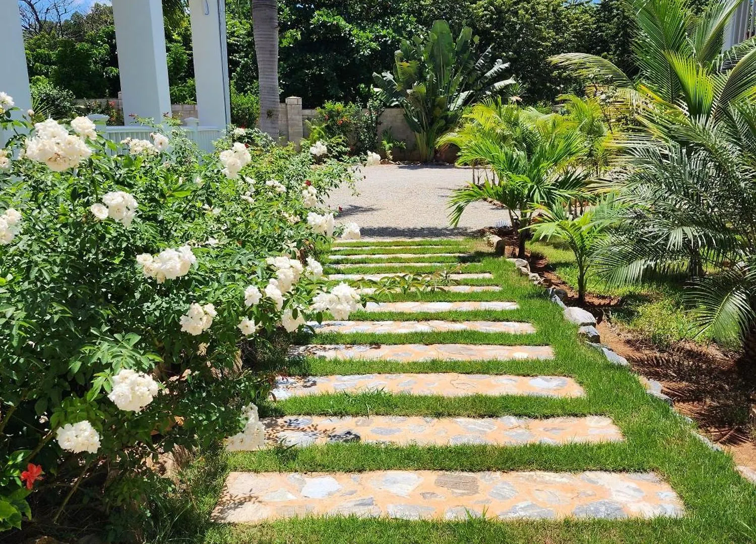 Luxury Room Close To The Beach Las Galeras 0*,